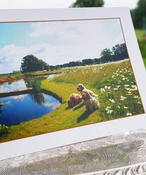 High Clandon Greeting Card series 1